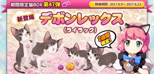 ꡼ No.002Υͥ / ֥ޥˤ󥫥եסָꥬ˥ǥܥåʥ饤åˤо