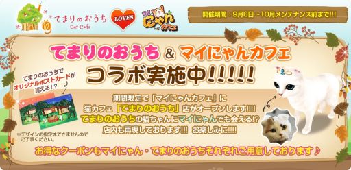 画像ギャラリー No.002のサムネイル画像 / 「マイにゃんカフェ」で猫カフェ「てまりのおうち」とのコラボイベントが開催