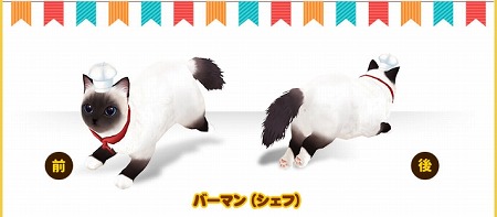 ꡼ No.002 | ֥ޥˤ󥫥եס㥤٥ȡȥ塼פɤ򳫺