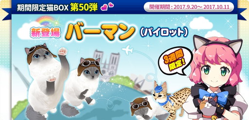 画像ギャラリー No.001のサムネイル画像 / 「マイにゃんカフェ」,第50弾の期間限定猫BOXなど新たなイベントを開催