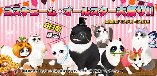 ꡼ No.001Υͥ / ֥ޥˤ󥫥եס8ָΥ㥤٥ȡ֥塼ࡦ륹פIIפ