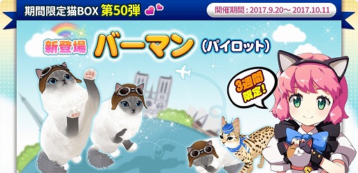 ꡼ No.002Υͥ / ֥ޥˤ󥫥եס8ָΥ㥤٥ȡ֥塼ࡦ륹פIIפ