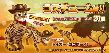 ꡼ No.001Υͥ / ֥ޥˤ󥫥եס㥤٥ȡȥ塼פɤ򳫺