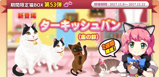 ꡼ No.005Υͥ / ֥ޥˤ󥫥եסִָꥬ53ơפǭβ֤٥ȡפ