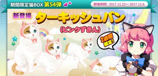 画像ギャラリー No.002のサムネイル画像 / 「マイにゃんカフェ」でさまざまなアイテムがセットになった「リバースパック」登場