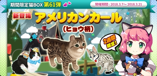 ꡼ No.003 | ֥ޥˤ󥫥եס˥塼뤷Ȥˤ󤳥ѥåɤȥۥ磻ȥǡ٥ȡɤ