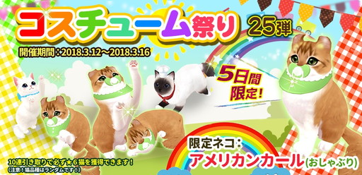 ꡼ No.001Υͥ / ֥ޥˤ󥫥եפˡȥꥫ󥫡ʤ֤ˡɤо