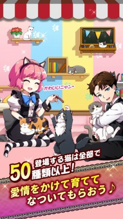 マイにゃんカフェ