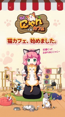 マイにゃんカフェ