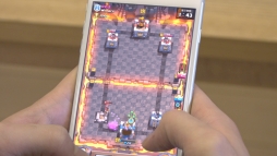 ꡼ No.021 | ֥å塦磻פΥƥCM12Ӥ85缡