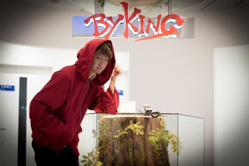 画像ギャラリー No.035のサムネイル画像 / モーションセンサー操作の対戦アクション「マジシャンズデッド」はどんなゲームなのか。“魔法使い”になりきってお届けする,ロケテ直前プレイレポート