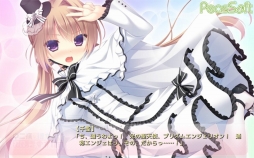 ꡼ No.011Υͥ / ADV¤(֥)פiOSۿ