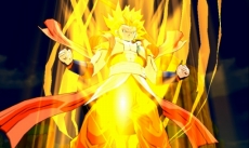 ���������꡼ No.039�Υ���ͥ������ / �֥ɥ饴��ܡ���ե塼����󥺡פ�����ϻ�������ȥե塼�����ɤ��������Ի׵Ĥ����������ȡ��꡼�ʤɤξܺ٤����餫��