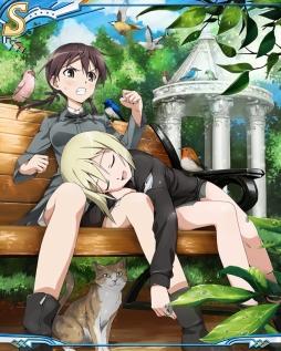 ꡼ No.001 | ֥ȥ饤å פʡפYahoo!Ǻۿ