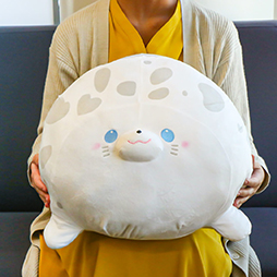 ���������꡼ No.001�Υ���ͥ������ / �֥ȥ�Сס��ϡ������ͤ����㡼��ݥ���ȤΥ����饷�̤�����ߤ�6��6�����о�