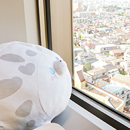 ���������꡼ No.005�Υ���ͥ������ / �֥ȥ�Сס��ϡ������ͤ����㡼��ݥ���ȤΥ����饷�̤�����ߤ�6��6�����о�