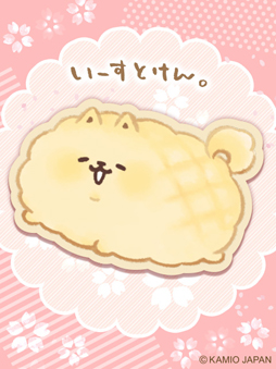 ���������꡼ No.005�Υ���ͥ������ / �֥ȥ�СפΥץ饤���ˡȤ������Ȥ��󡣡ɤȤ��Ȼ��֤��ڤ����������åȥ֥�󥱥åȡ���Ƚ�Х������뤬�о�