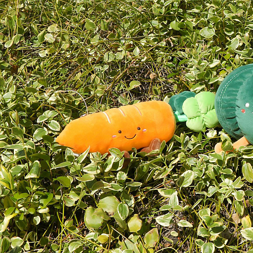 ���������꡼ No.001�Υ���ͥ������ / �֥ȥ�С׸��ꥷ�꡼���ȤߤΤޤ��ե�󥺡ɤˡ��ˤ󤸤��������