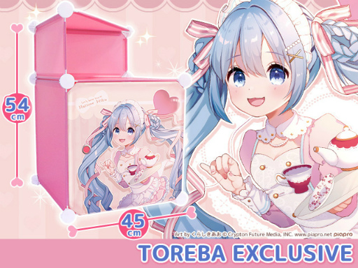 ���������꡼ No.001�Υ���ͥ������ / �֥ȥ�Сפ˽鲻�ߥ������磻�饹�Ȥ���Ѥ��������ê�Ĥ���Ǽ�ܥå����ɤ��о�