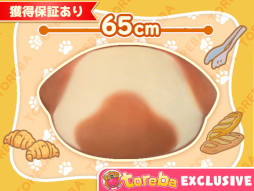 ���������꡼ No.006�Υ���ͥ������ / �֥ȥ�Сס��Ȥ������������ѥ󥯥å������ѥ����ɤ�3��27�������о�