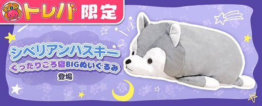 ꡼ No.002 | ֥ȥСסȥ٥ꥢϥäꤴBIG̤ߡɤ417900о