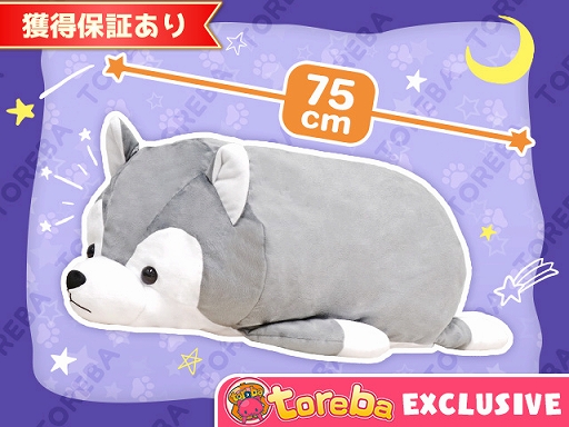 ꡼ No.006 | ֥ȥСסȥ٥ꥢϥäꤴBIG̤ߡɤ417900о