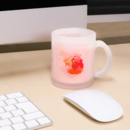 ꡼ No.003 | ֥ȥСסȥȥ쥿Υեȥ饹ޥåסǰ©ɤ526о