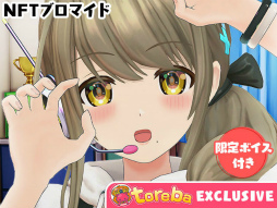 ���������꡼ No.003�Υ���ͥ������ / �֥ȥ�Сס�6��23�����NFT�ץ饤����Ū��Ÿ�����Ϥ�