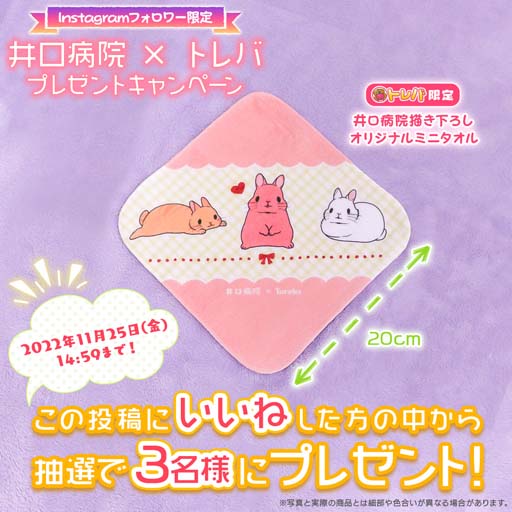 画像ギャラリー No.011のサムネイル画像 / 「トレバ」に“うさぎ漫画家「井口病院」もふもふブランケット”が登場。コラボTPパック販売キャンペーンも