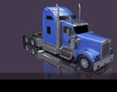 ꡼ No.004 | ܸǡ֥ꥫ ȥå ߥ졼פΥ䤬226˷ꡣ̾ʤ饢ꥫαҤܻؤ