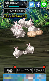 ���������꡼ No.004�Υ���ͥ������ / ������ߤ��Τ��綻�ڡ��ĥå��ߤɤ������ܤ����֥�����֥���˥������ȡפ�Ҳ𤹤�֡ʤۤܡ��������ޥۥ������̿�����1083��