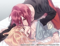 ���������꡼ No.018�Υ���ͥ������ / �ֲ������å�4Gamer����87�󡧤��ʤ������˲ᤴ���Τϡ����ʡȥ֥�å��ɤʷ�ǽ��ã������ADV��Blackish House sideA���פ��ý�