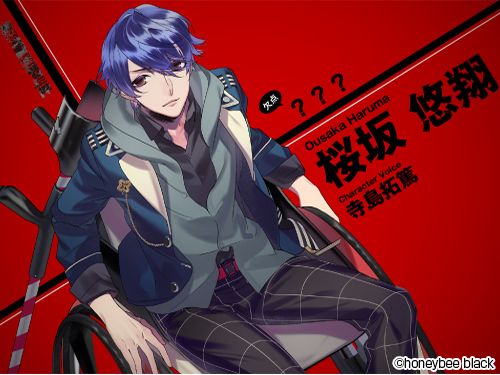 ꡼ No.007Υͥ / ʹ֥󥻥ADVBlackish House sideAפΥץ쥤ݡȤϤǽãȤΡ餱ǻɷŪ褬ڤ