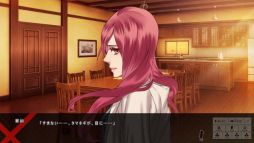 ꡼ No.015Υͥ / ʹ֥󥻥ADVBlackish House sideAפΥץ쥤ݡȤϤǽãȤΡ餱ǻɷŪ褬ڤ