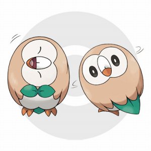 ꡼ No.005 | ֥ݥåȥ󥹥 ס֥ݥåȥ󥹥 ࡼפȯ1118˷ꡣǽΥѡȥʡȤʤ3ɤΥݥ