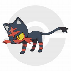 ꡼ No.007 | ֥ݥåȥ󥹥 ס֥ݥåȥ󥹥 ࡼפȯ1118˷ꡣǽΥѡȥʡȤʤ3ɤΥݥ