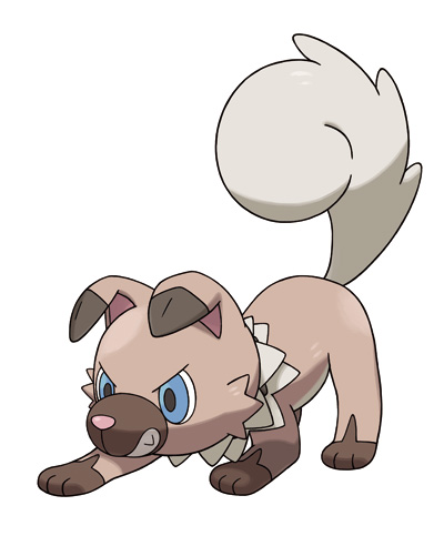 画像集no 001 ポケットモンスター サン ムーン こいぬポケモン イワンコ と 新特性の持ち主 ネッコアラ の2匹が公開 画像集no 001 ポケットモンスター サン ムーン こいぬポケモン イワンコ と 新特性の持ち主 ネッコアラ の2匹が公開
