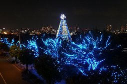 ꡼ No.011Υͥ / ƤΥǥåӡϥݥǤäѤԥ奦ܥ륱˥Ĥߥ͡ݡ