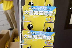 画像ギャラリー No.004のサムネイル画像 / 1000匹以上のピカチュウが横浜みなとみらいエリアに登場! 現在開催中のイベント「ピカチュウ大量発生チュウ!」の模様をレポート