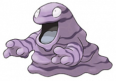 ꡼ No.017Υͥ / ֥ݥåȥ󥹥 󡦥ࡼפκǿ󤬸ǽв񤨤뿷ݥ䡤֥٥ȥ٥ס֥٥ȥ٥ȥפΥ꡼եब餫