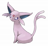 ポケモンセンター イーブイの進化系統をテーマにしたキャンペーンを5月13日から開催 ポケモンセンター イーブイの進化系統をテーマにしたキャンペーンを5月13日から開催