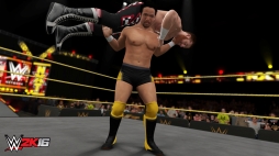 PCǡWWE 2K16פƱ311ۿSteamͽդ