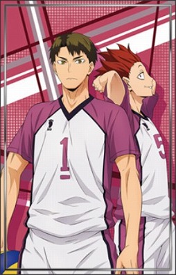 ꡼ No.006 | ֥ϥ塼!!ɥԥޥå!!סTCG֥ϥ塼!!Хܥ!!פȤΥܤ»