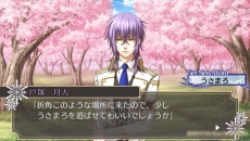 ꡼ No.010Υͥ / ADVֿΰ InFiniteפȯ䡣IFɤΥȡ꡼줿꡼ǿ