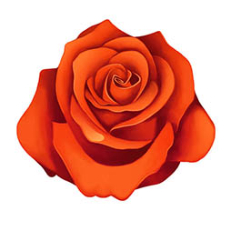 ꡼ No.007 | Ȳ֡ɤˤ䤫ʿ̤ܡKingοޥ۸ѥ륲֥֥åࡦ֥饹ȡפιۿ