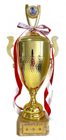 画像ギャラリー No.008のサムネイル画像 / 「NASEF JAPAN 京都ロケットリーグ全国オープン」の決勝リーグに進出する8チームが決定