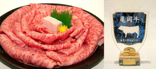 ꡼ No.001 | NASEF JAPAN ԥåȥ꡼񥪡ץ׷辡꡼220˥饤ǳ