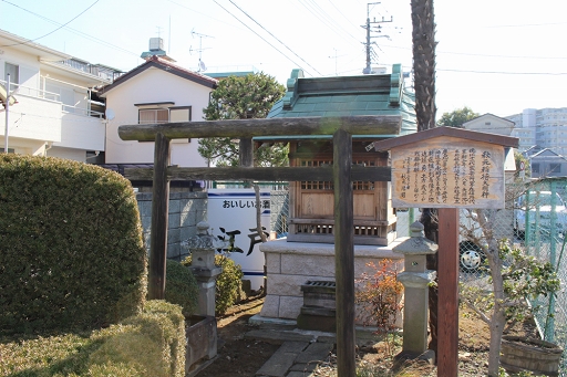 ꡼ No.009 | סήܤΥץ꡼ᤰ˥åĥ!!Τ©Ť򴶤ץιԤ紶