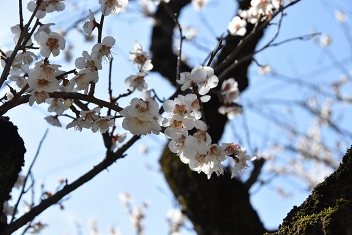 ꡼ No.013 | סήܤΥץ꡼ᤰ˥åĥ!!Τ©Ť򴶤ץιԤ紶