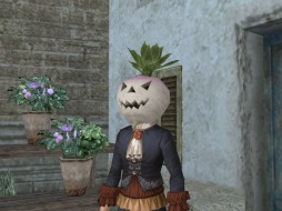 ꡼ No.004 | ҳ Onlineץ٥ȡ֥ॹƥڷפ621˳